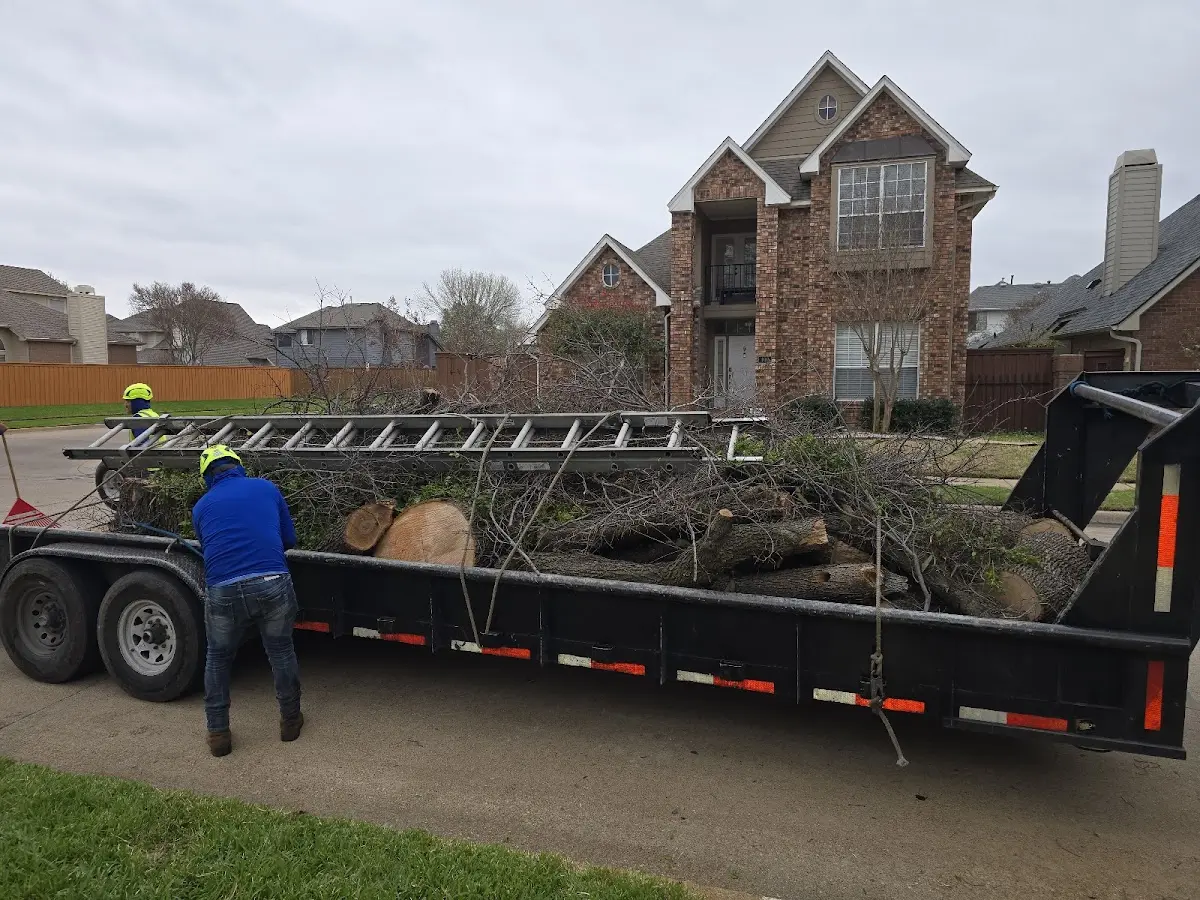 Expert Lot Clearing with proper safety equipment in Crescent